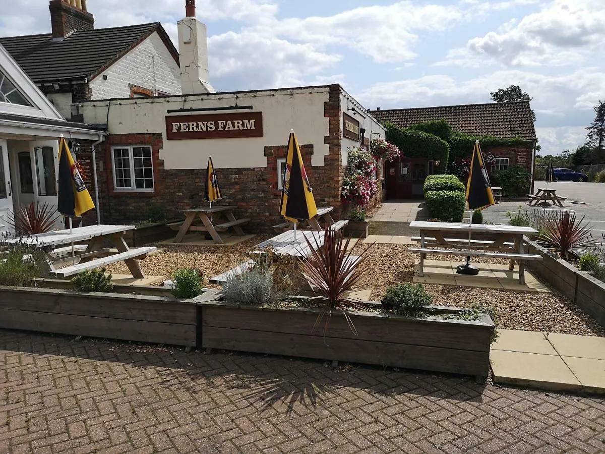 Hotel Ferns Hotel/Palms Leisure Carnaby